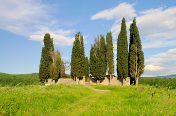 Fototapeta na wymiar Toskana Friedhof - cmentarz 01 Toskania