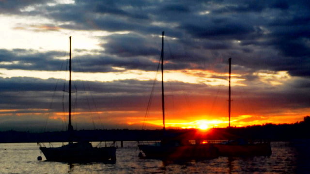 Sail boats in Lake Washington at the sunset