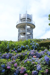 紫陽花と展望台
