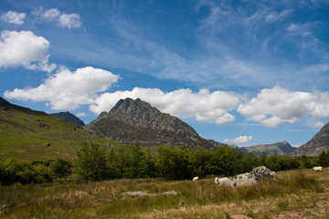 Fototapeta premium Tryfan Mountain