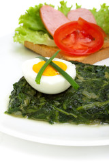 sauteed spinach, egg and sandwich for breakfast isolated on whi