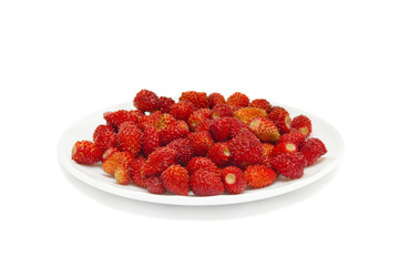 wild strawberry isolated on white