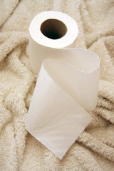 toilet paper