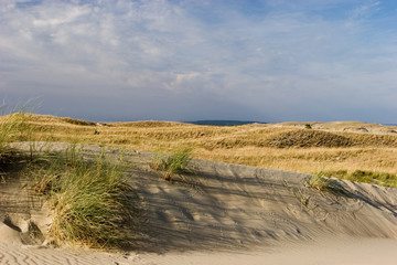 Nagliai dune
