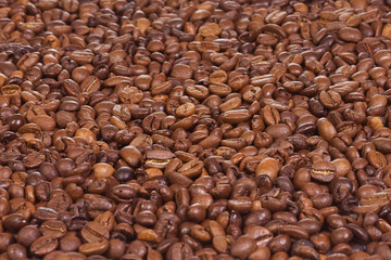 coffee beans as background
