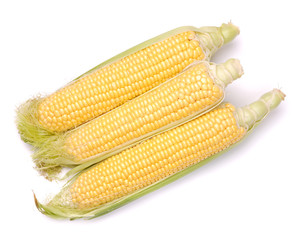 Corn on the cob