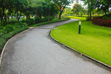 Path in the park