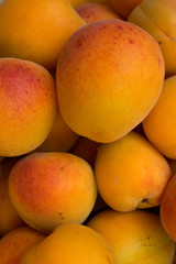 Fruit  apricots  fresh