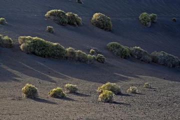 Foto op Aluminium volcanic landscape in national park Timanfaya © travelview