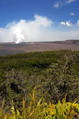 Fototapete Vulkan Hawaii Volcanoes National Park, USA..  © Chee-Onn Leong