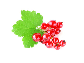 red currant isolated
