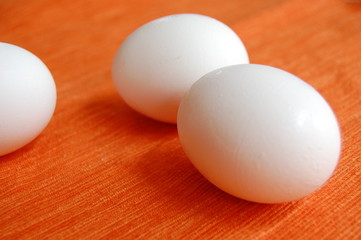 3 eggs on orange