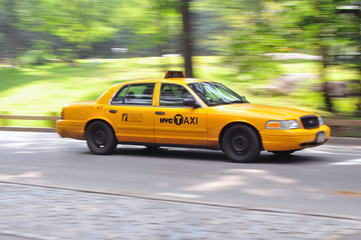Fototapeta na wymiar Yellow Cab dashes in Central Park.