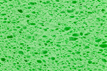 Green Sponge