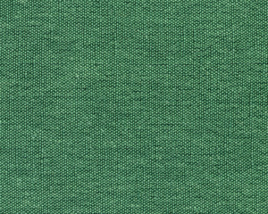 Green Cotton Canvas