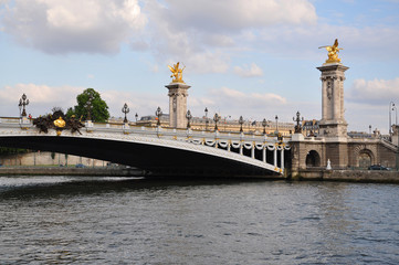 Fototapeta na wymiar Pont Alexandre 3 sur la Seine à Paris, France