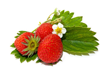 Erdbeeren
