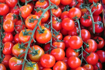 Tomato