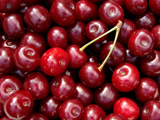 cherry crop