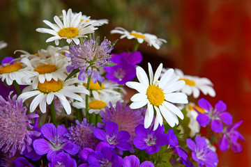 blumenstrauss,feldblumen