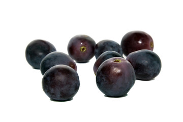 Fruits of a grapes