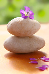 Obraz na płótnie Canvas wellness und massage,steine