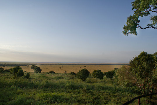 Landschaft Kenia am Morgen - Masai Mara