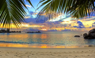 Poster Tropisch strand bij zonsondergang © Nikolai Sorokin