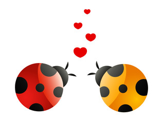 two in love ladybirds