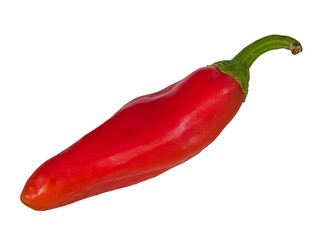 Red hot chili pepper.