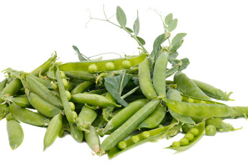 Fresh green pea