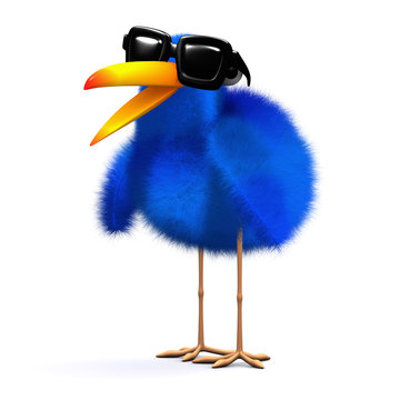 3d Blue bird looking cool in shades