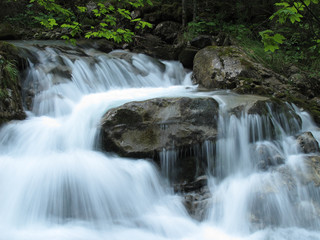Wasser im Bergwald