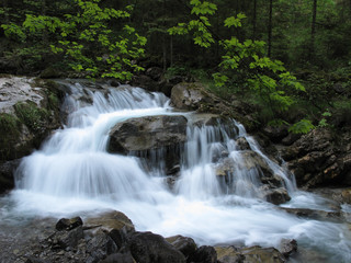 Wasser im Bergwald
