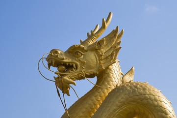 Golden dragon over blue sky - 23785597