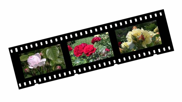 Filmstrip
