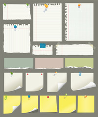 Vector paper and post-it collection