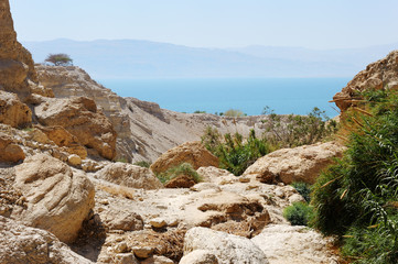 Ein Gedi Nature Reserve off the coast of the Dead Sea