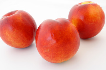 nectarines on the white background