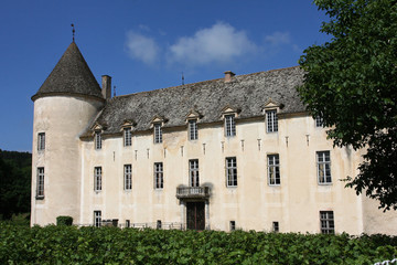 Fototapeta na wymiar Poza Zamek Savigny-les-Beaune