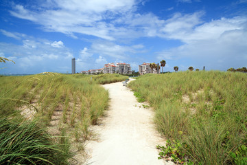 Fototapeta premium Miami Beach South Pointe Park Nature Trail