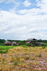 hut and farm