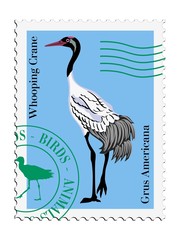 vector stamp with Whooping Crane