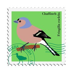 vector stamp with chaffinch