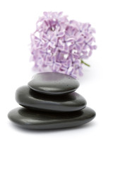 massage stones and lilac flowers