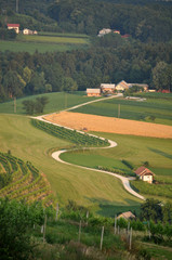 Colorful Fields