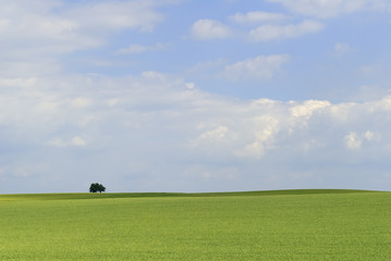 paysage simple