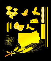 pasta types assortment of spaghetti shells butterflies and fusilli springs vector collection