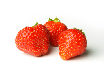 erdbeeren