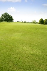 Green Golf grass landscape in Texas